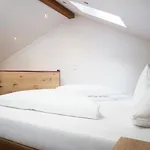 Schindlhaus Und Koia Premium Hotel apartamentowy Söll